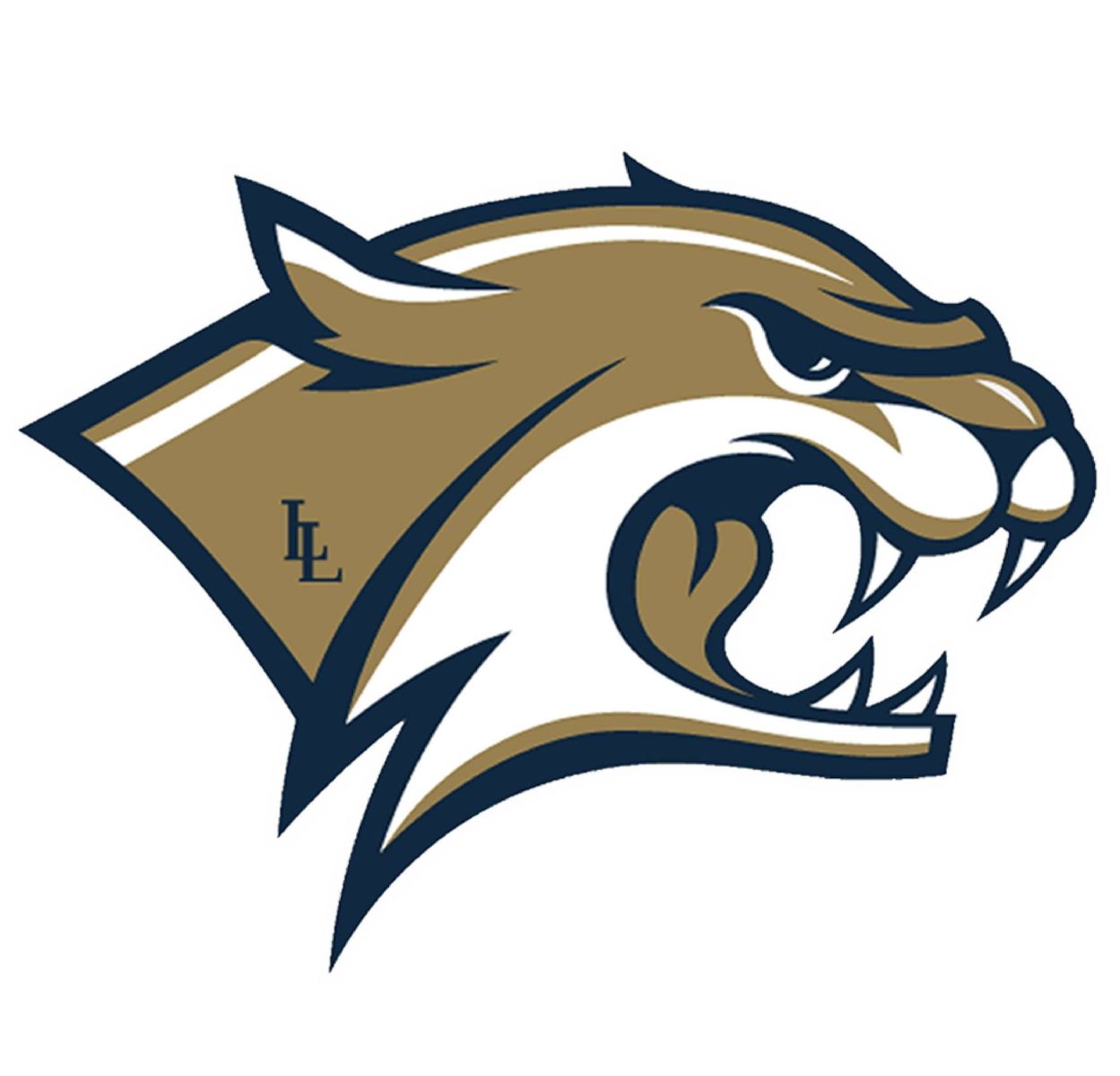 Wildcats - gala